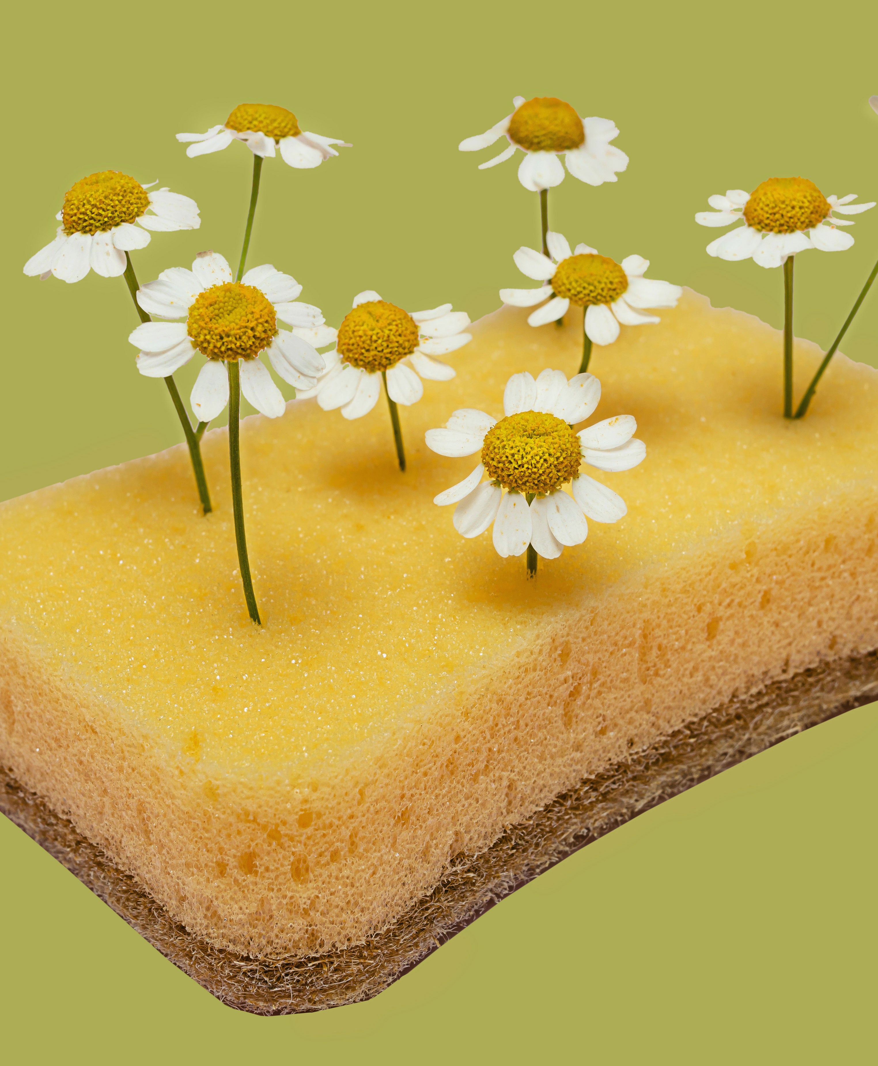 Pulizia e Sostenibilità